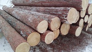 Вертикальная ленточная пилорама ARTIGLIO ST 140.mp4