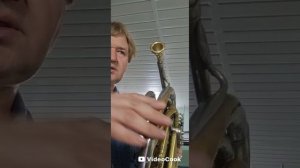 Двойная полная валторна "Alexander Mainz"  mod. C.F. Schmidt in B/F