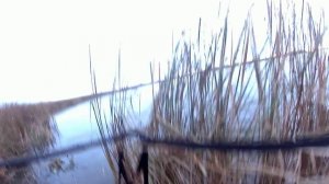 Когда приехал без цели навредить природе.