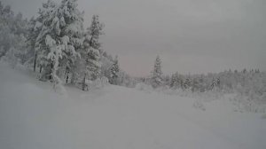 Красивый зимний лес.