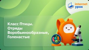 Класс Птицы. Отряды Воробьинообразные, Голенастые. Видеоурок по биологии 7 класс