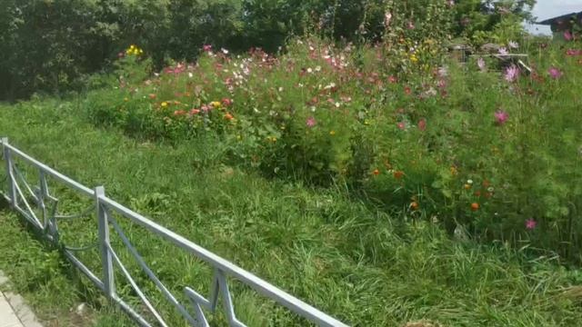 Клумба у Братской могилы