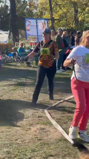 ЮНИОРЫ СУКИ / КЧК+ РОСТОВ-НА-ДОНУ 28 сентября`25 Z.Najdovski, Е.Близнецова Моно немецких овчарок