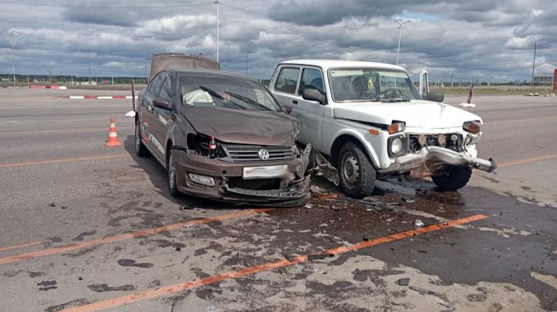 Аварии и ДТП на дорогах ТОРОПЫГИ за рулем