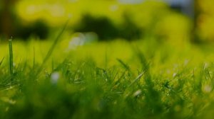 Невиданная красота Земли 4K HDR Dolby Vision (60 кадров в секунду)