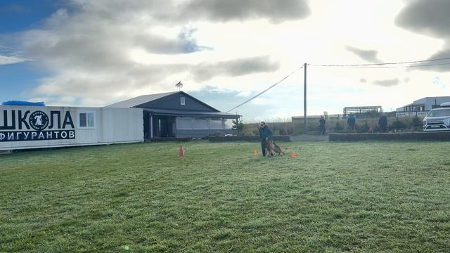 1.  выражено/пож TOKSENHOF FINA (Nino v. Diemel – Toksenhof Dominika)