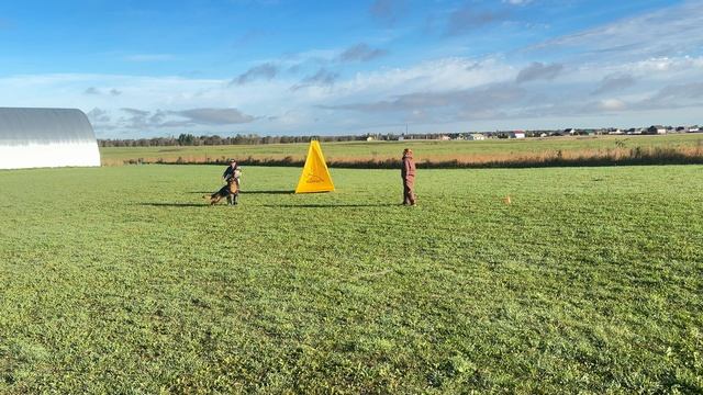 5.  выражено/пож ИРЕНДОРФ ЗАМБИЯ (Уран из Белого Яра – Зависть Богов Лира)