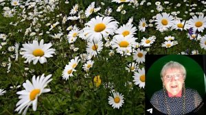 Настало время перемен.