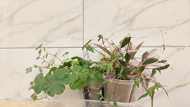 Уехали. Страничка надежды