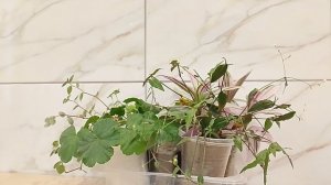 Уехали. Страница надежды