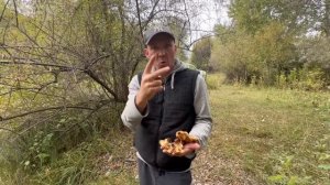 Наш идеальный день на природе: лес, река и полный релакс!