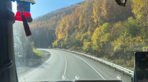 Дальневосточный вайб он особенный #delko