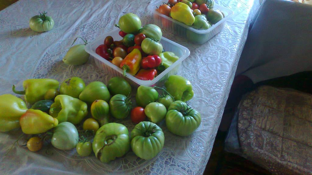 Так долго готовился......!😆