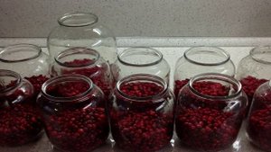 Компот из брусники на зиму