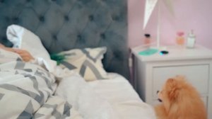 КАЖДЫЙ ПЁСИК ТАКОЙ | Каждый ШПИЦ Такой