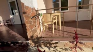 Абхазия, октябрь «Солнце Абхазии»