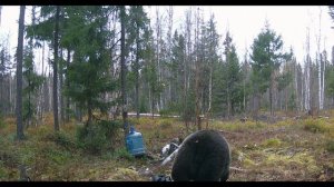 Новое место новый мишка!