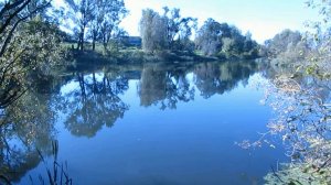 Я - Деревня! Я - Село!