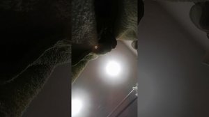 VID_20251004_112456.mp4