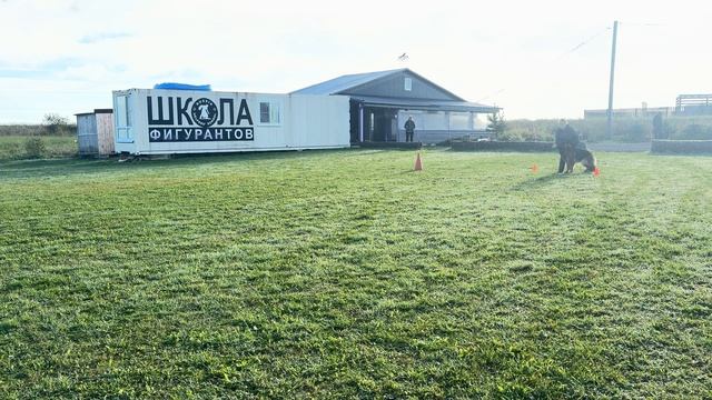 3.  выражено/пож SHABARDHOF ZAKIRIYA (Ирендорф Вулкан – Shabardhof Alaska)