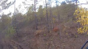 "3 богатыря" 2025 в обратную сторону. Серебро