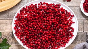 Компот из брусники