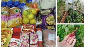 Закупка продуктов// обзор теплицы// пересадила эустому