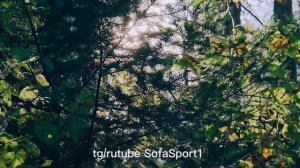 хехцир трейл 2025 ходьба 9км. как это было хабаровск