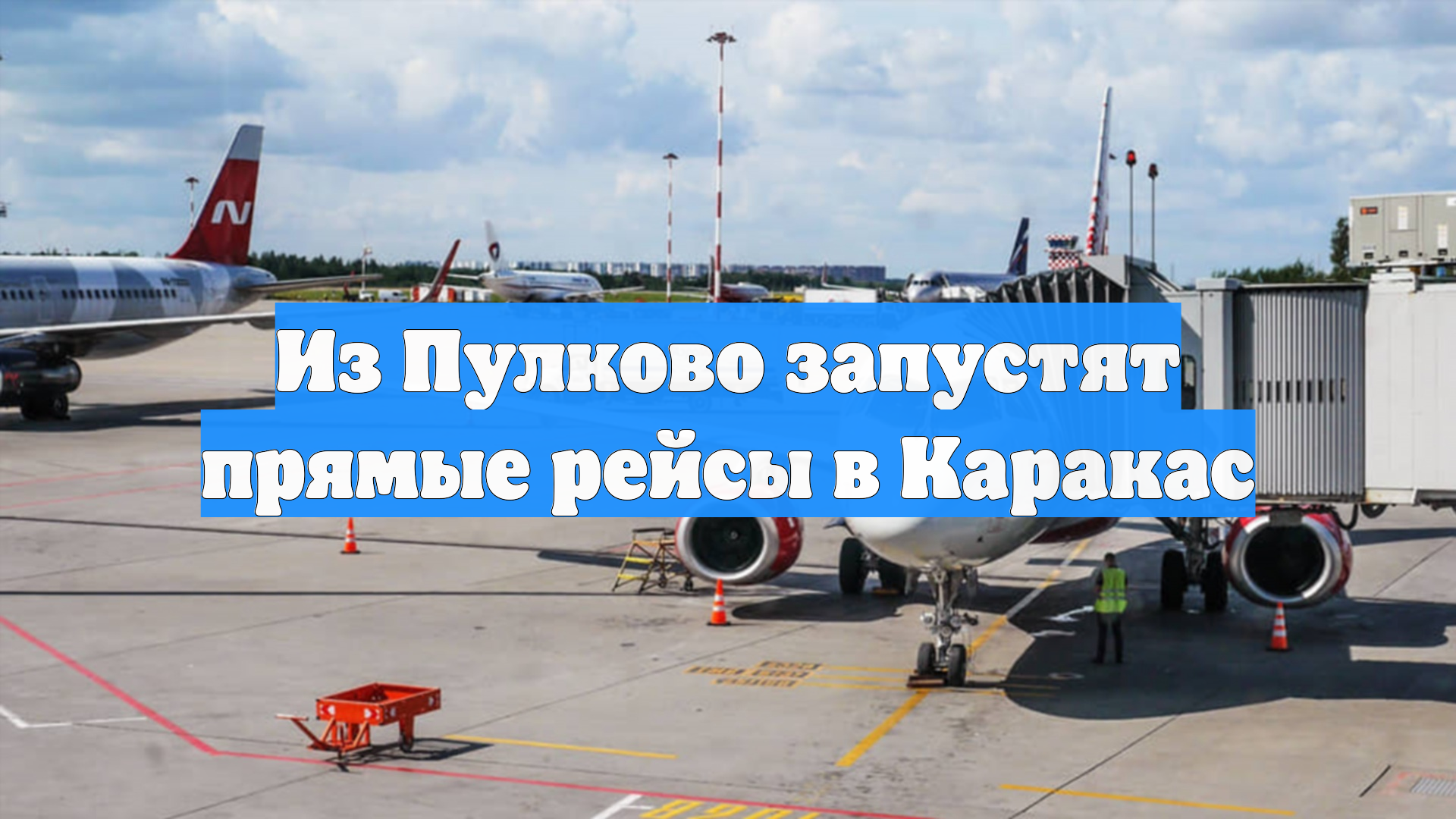 Из Пулково запустят прямые рейсы в Каракас