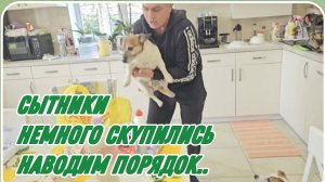 САМВЕЛ АДАМЯН, СЫТНИКИ, НЕМНОГО СКУПИЛИСЬ, НАВОДИМ ПОРЯДОК..