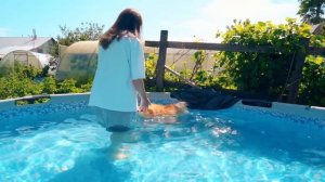 ВСЕ ПИТОМЦЫ ПЛАВАЮТ в БАССЕЙНЕ: КОШЕЧКА БАТТЕРС, СОБАЧКА ЭЛИС и ЕЖИК БРУНО