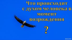 Дух человека в момент возрождения. Ответ на вопрос. А. С. Антонюк. Д. В. Самарин. МСЦ ЕХБ.