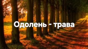 Одолень трава