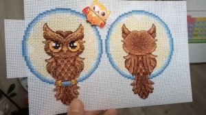 101 день до Нового года, или 300 крестиков каждый день / День 1-10