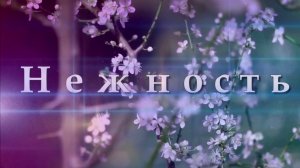17 октября день нежности. Нежности не нужно громких слов. Песня о нежности