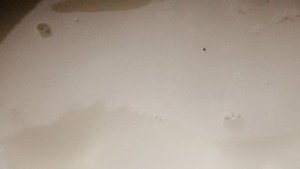 Каша с отрубями