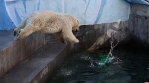 Прыжки Кая..