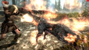 Путь от Виндхельма до Рифтена в TES V Skyrim Special Edition