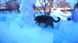 ПОСТРОИЛИ ГИГАНТСКИЙ ЗАМОК ИЗ СНЕГА - ДЛЯ СОБАЧКИ ЭЛИС И КОШЕЧКИ БАТТЕРС