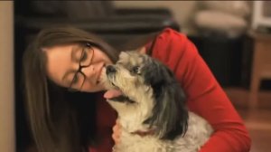 Ветеринарная стоматология для собак и кошек в Москве. Приемная доктора М.А. Шелякова.