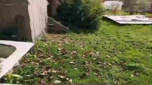 Ритуал молитвинников/архивная запись 1998 года/Зефировская область, Приновский район