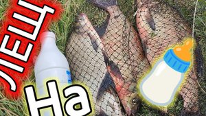 Снасть СОСКА -ПРУЖИНА отработала.Рыбалка на озере. Август2024