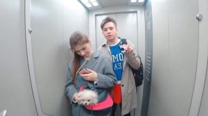 ОПЕРАЦИЯ СОБАЧКИ ЭЛИС НА СЕРДЦЕ | ВЕЗЕМ ЭЛИС В БОЛЬНИЦУ!