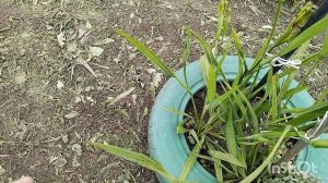 Наши будни/Плохой салат/Ближе к осени