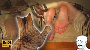 ΠΠΎΡ Π°ΡΠ°ΠΊΡΠ΅Ρ ΠΡΡΠΊΡ! π± Π‘ΠΌΠ΅ΡΠ½ΡΠ΅ ΠΆΠΈΠ²ΠΎΡΠ½ΡΠ΅! ΠΠ΅Π»Π΅ΠΏΡΠ΅ ΡΠΈΡΡΠ°ΡΠΈΠΈ Ρ ΠΆΠΈΠ²ΠΎΡΠ½ΡΠΌΠΈ! Π£Π³Π°ΡΠ½ΡΠ΅ ΠΠΎΡΡ ΠΈ Π‘ΠΎΠ±Π°ΠΊΠΈ 2025