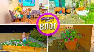 Ферма. Крым. Сын. Весело и красиво. Лучший семейный влог.