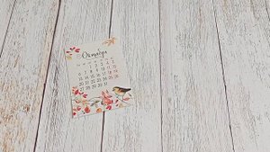 Вышивка крестом. Осенние сюжеты. Теплый комментарий. И осенняя зима