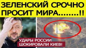 Зеленский срочно запросил перемирия! Киевский ФЮРЕР орёт на «западных партнеров» из-за Путина!