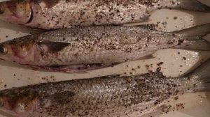 Кефаль на мангале