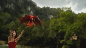 SERGEY CHEKALIN - Beyond the Horizon